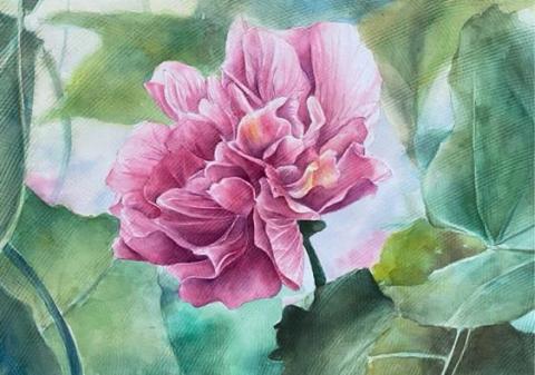 陳佳妤 chia Yu - 水彩花卉