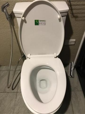 嘉欣居家清潔有限公司 - 馬桶尿垢清潔