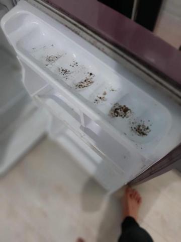 滿心家政服務 - 冰箱黴霉菌 橡皮縫隙霉菌污垢 施作前