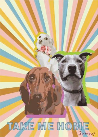 Sunny擎天設計工作室 - 海報設計