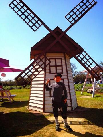 立山建材行 - 戶外各式農場造型施工