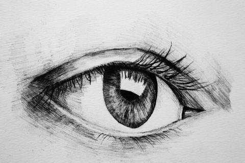 楊昀蒨 - 代針筆描寫