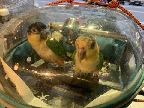 提供ssd救援服務的專家劉士豪