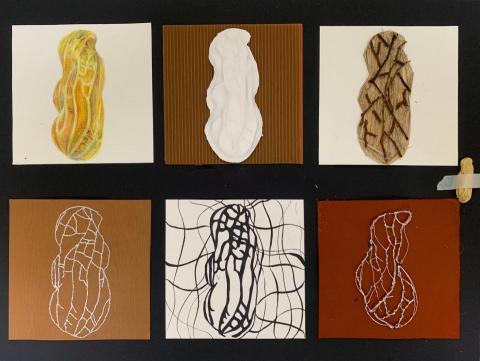 楊昀蒨 - 花生省魔術
材質練習