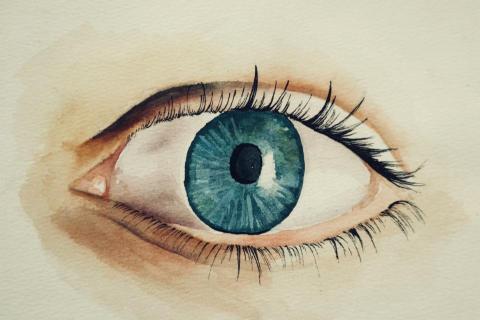 楊昀蒨 - 平面水彩