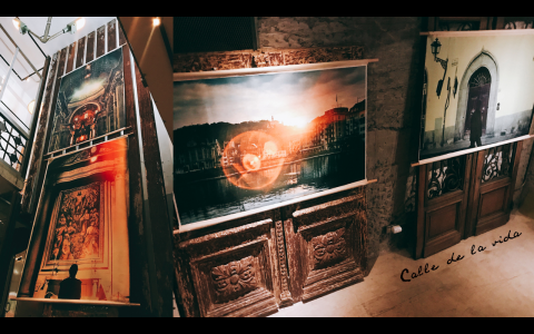 SashaHong photography studio - 展覽