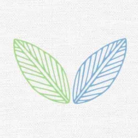 提供水溝巢服務的專家好巢空間設計