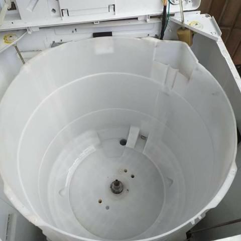 陳育新 - 清洗後