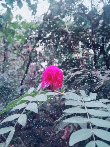 提供173bella小海服務的專家Paris Young