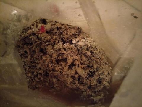 征匞科技有限公司 - 儲熱式電熱水器清出來的水垢