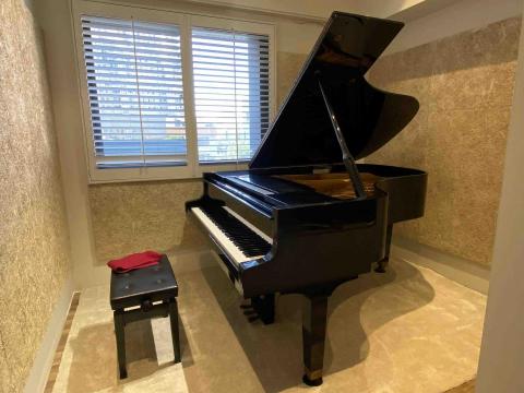 🎹威威老師音樂工作室 - 專業三角琴教學琴房