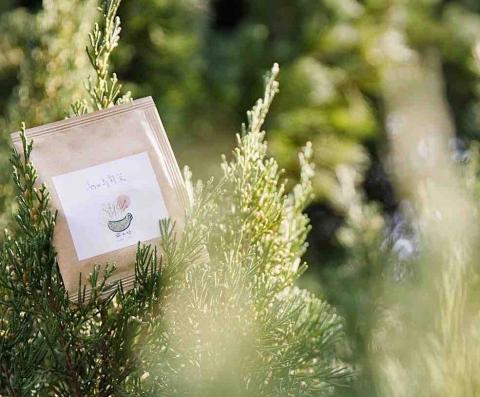 Miranda.K - 合作廠商：茶工坊