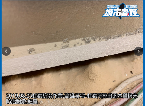 城市蟲控企業社 - 蛀蟲防治作業