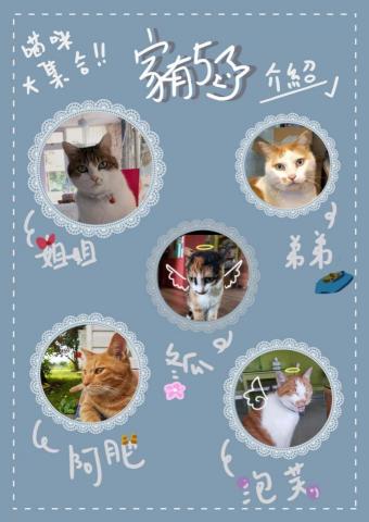 文姿喬 - 介紹圖文設計