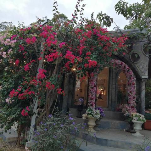 斌斌旅遊網 - 婚紗攝影秘境