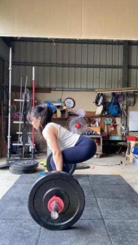 Alice 艾莉絲 獅獅 - 