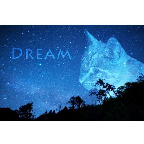 圓周貓 - ☆貓咪星空宣傳圖
☆奇幻風格 圓周貓 - ☆貓咪星空宣傳圖
☆奇幻風格