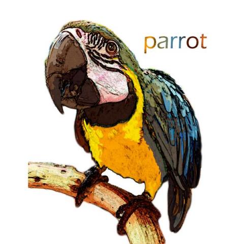 圓周貓 - ☆鸚鵡Logo
☆寫實風格 圓周貓 - ☆鸚鵡Logo
☆寫實風格