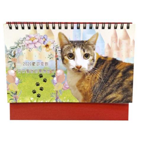 圓周貓 - ☆2020貓咪桌曆
☆可愛風格、奇幻風格 圓周貓 - ☆2020貓咪桌曆
☆可愛風格、奇幻風格