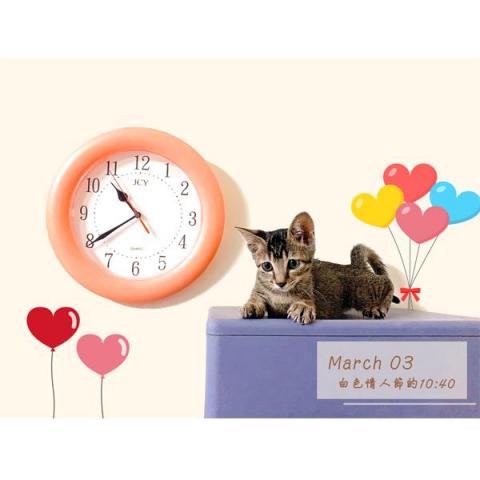圓周貓 - ☆貓中途桌曆內頁
☆可愛風格 圓周貓 - ☆貓中途桌曆內頁
☆可愛風格