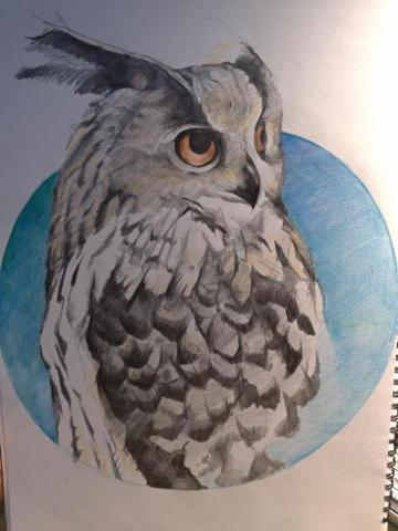 黃辛詒 - 進階
兒童美術(靜物素描)