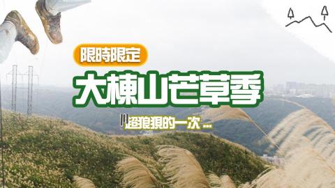 Alice - 旅廢日記｜Youtube封面設計