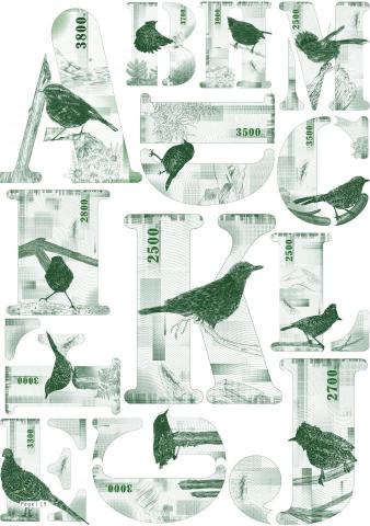 LGY - 歐文字體設計
-
台灣原生體