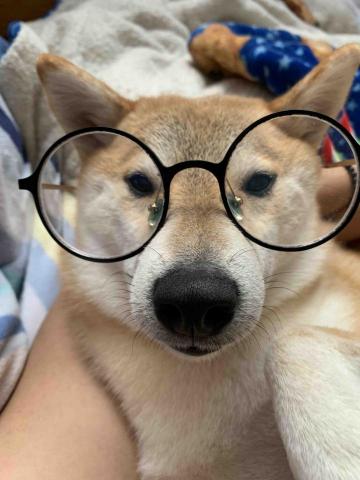 提供unity教程服務的專家陳致維