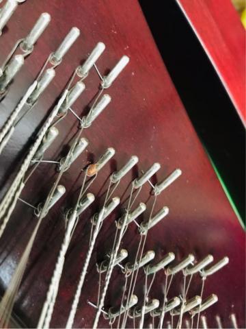 揚琴調音保養維修 - 弦釘除鏽