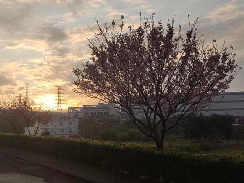 提供簡單q版人物服務的專家DingDingyu