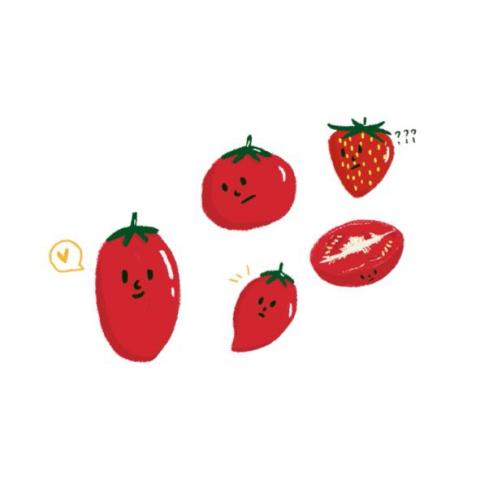 小方 - 插畫設計