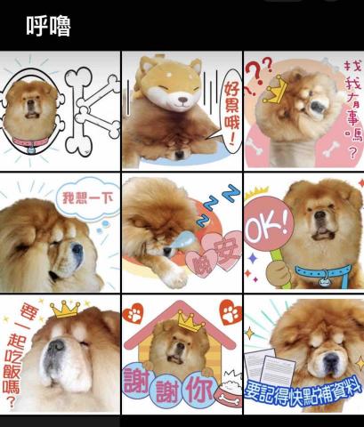樂在設計 - 寵物貼圖