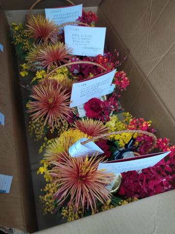 一台車凸歸呆丸 - 