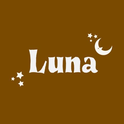提供編劇服務的專家Luna 影像