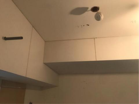 Mr.鄭/室內裝潢裝修 - 