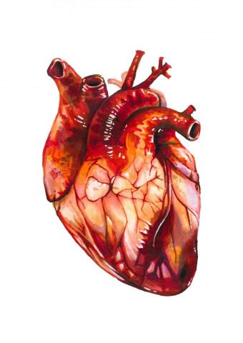 華安 - 麥克筆-心臟