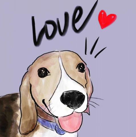 樂在設計 - 頭像畫彩色版本