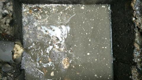 征匞科技有限公司 - 超導波排水管疏通清洗機洗出來的油塊