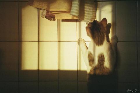 提供tabata初級服務的專家Sueisuei