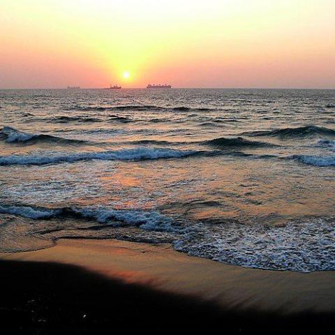 提供兒童美語會話服務的專家Sophia 陳