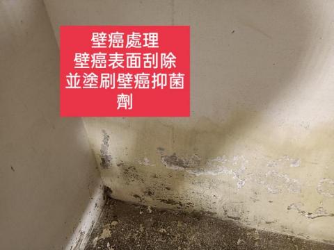 三合順防水油漆塗裝裝修工程 - 壁癌處理
