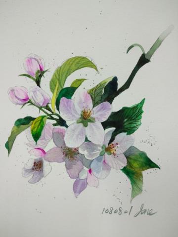 菇菇雞 - 水彩花卉