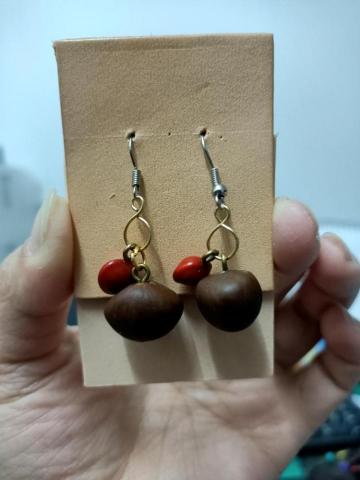 芭啦啦工作室 - 依種子為主題製作的耳環