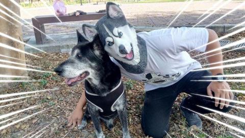 鍾成 - 我跟我家的狗