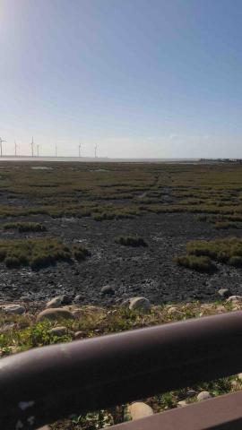 提供應用程式服務的專家江東育