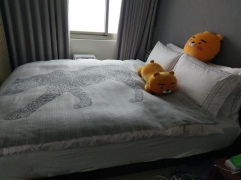 葉寶華 - 這是整理好的