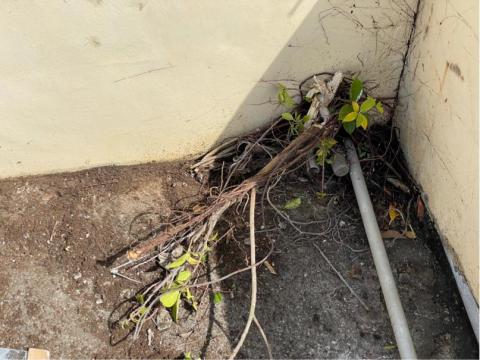 嘉禾工程行 - 防水施工前清洗地面牆壁裂縫補強