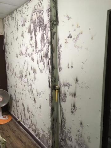 全億室內裝修設計工程 - 