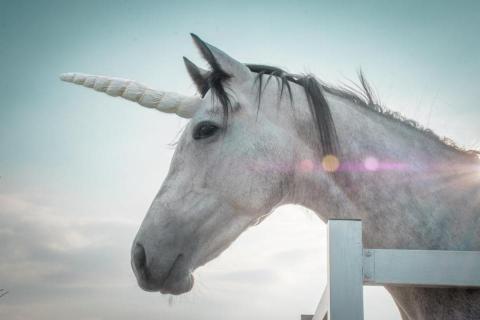 J式影像 - 後製 p圖 調色