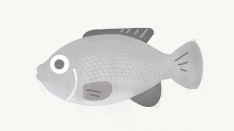 王奕涵 - 動物插畫 王奕涵 - 動物插畫